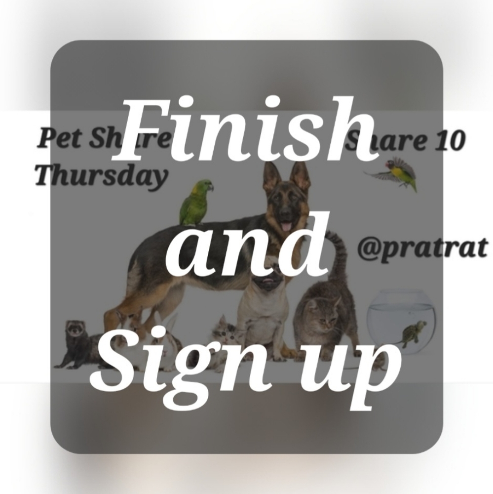 Finish Thur 4/23🐾Sign Up Thurs 4/30🐾Pet Share🐾Share 10🐾